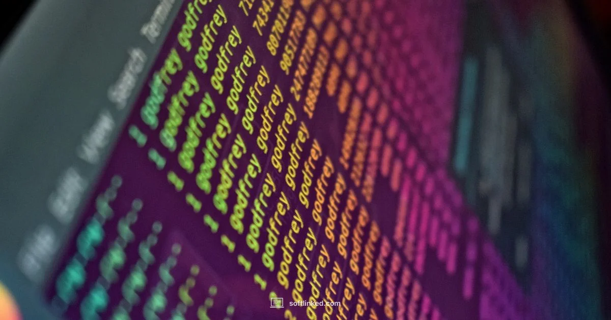 Tech Path Comparison - SoftLinked