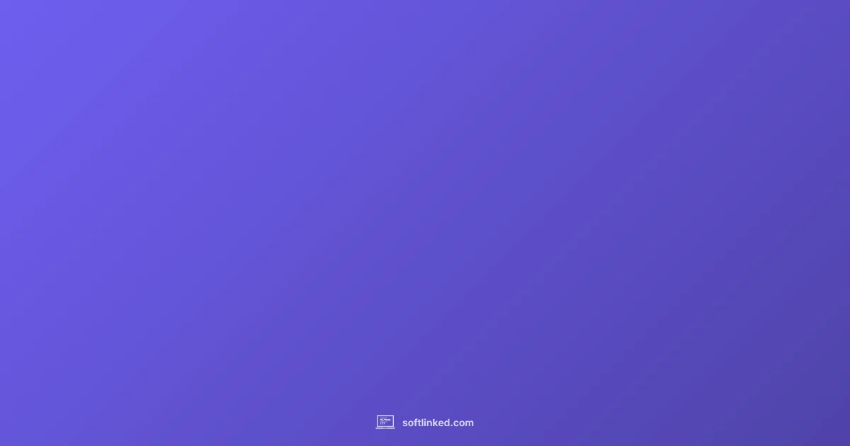 One-Time License - SoftLinked (illustration)