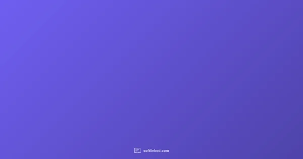 One-Time License - SoftLinked (illustration)