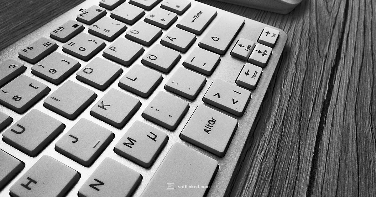 Scanner Software Guide - SoftLinked