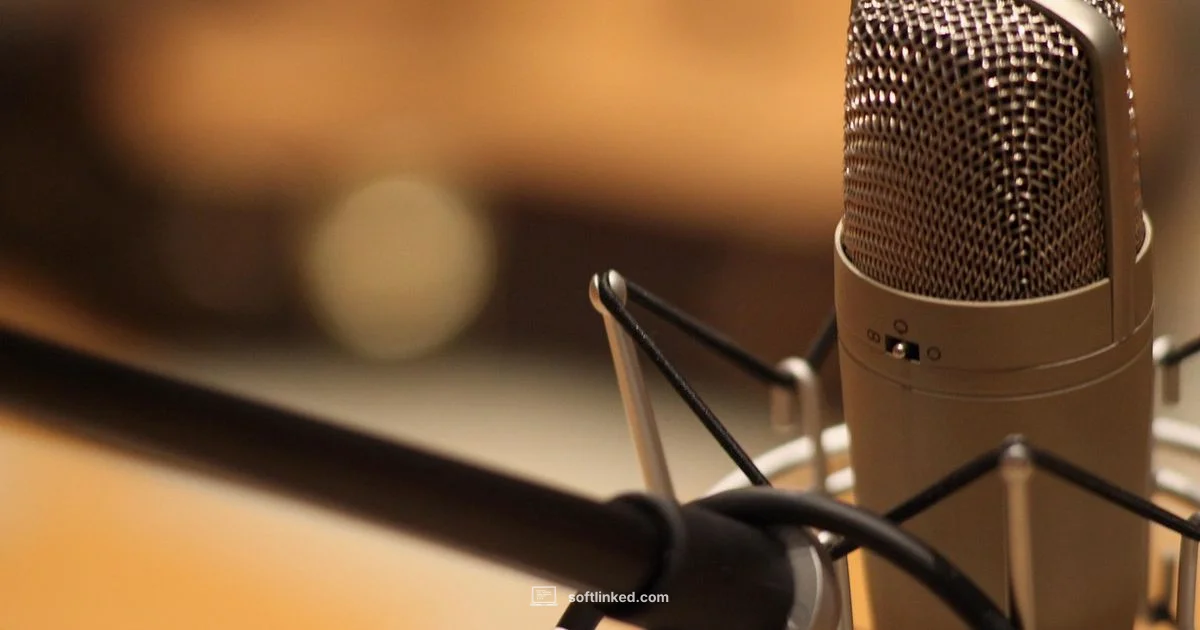 Producer Edition Insights - SoftLinked