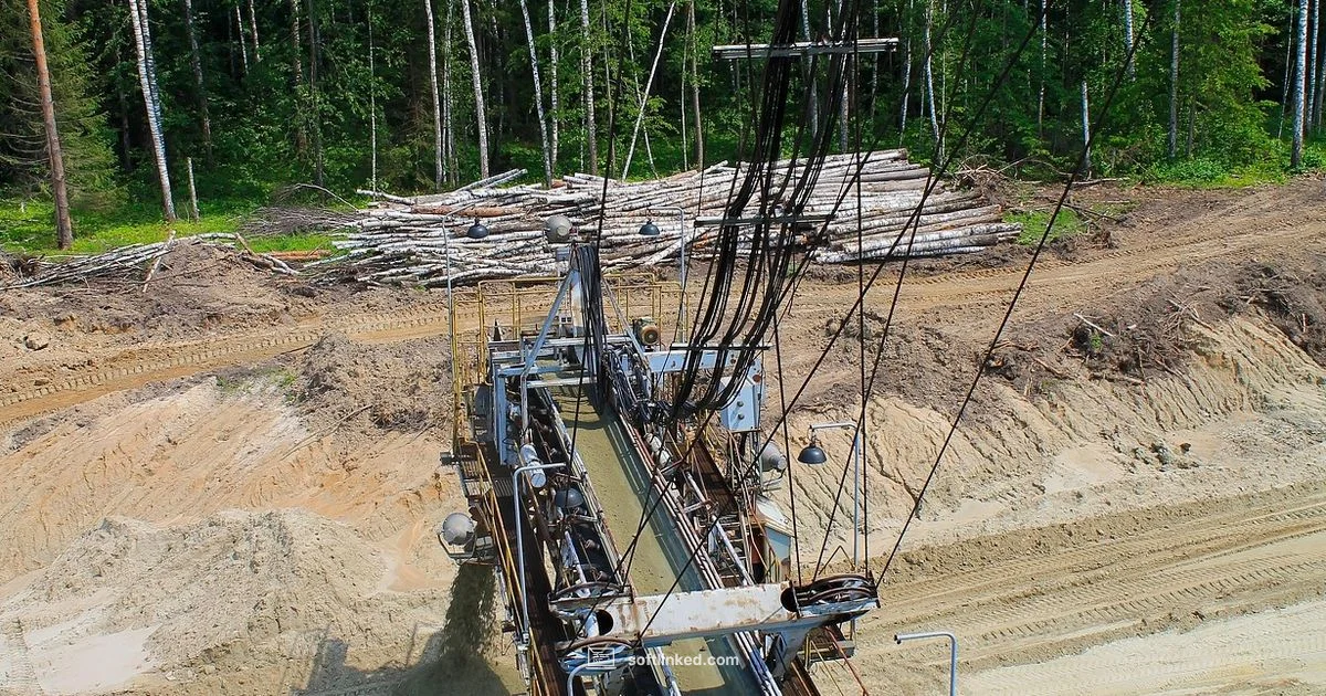 Software Career Path - SoftLinked