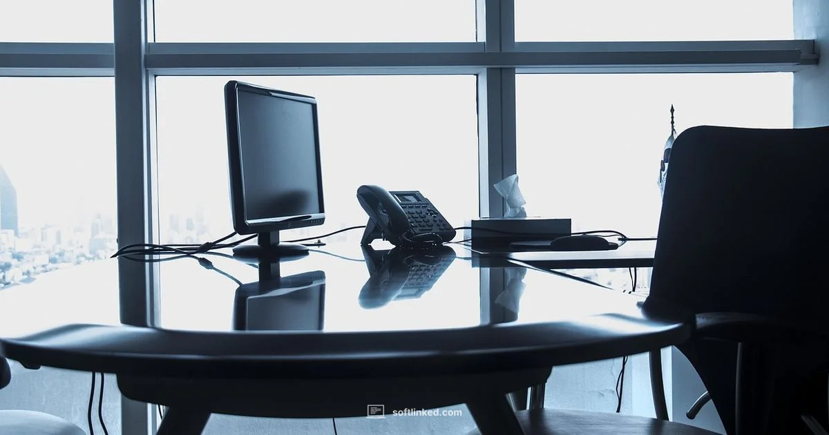 Understanding the Programmer Role - SoftLinked