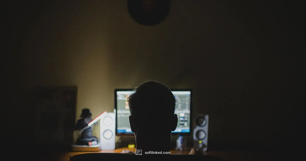 Worth It in 2025 - SoftLinked