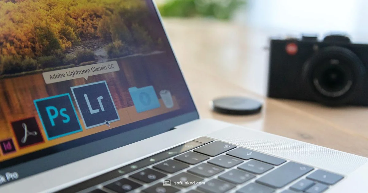 Photos Recovered Safely - SoftLinked