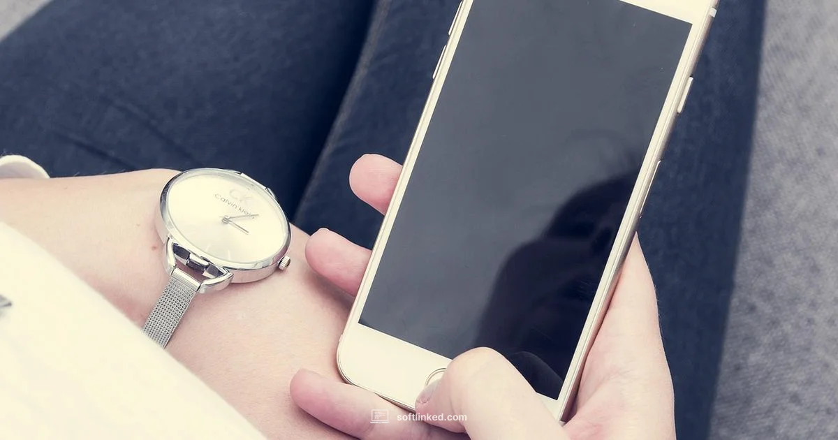 Phone Update Guide - SoftLinked