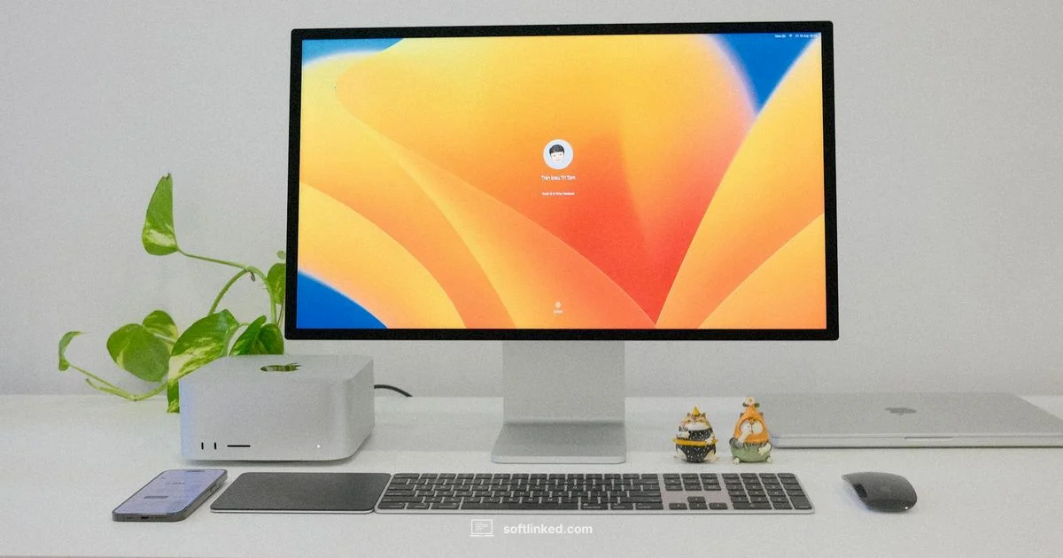 Free Password Security - SoftLinked