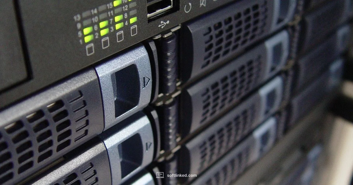 Integrity in Focus - SoftLinked