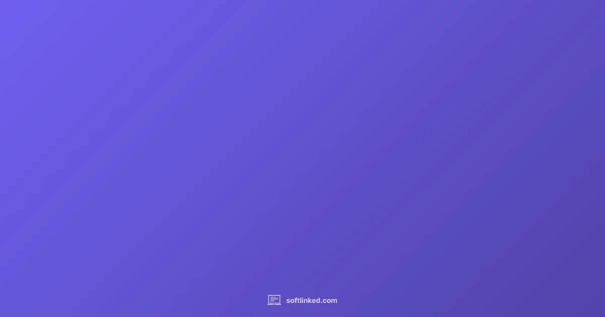 Software vs Program - SoftLinked (illustration)