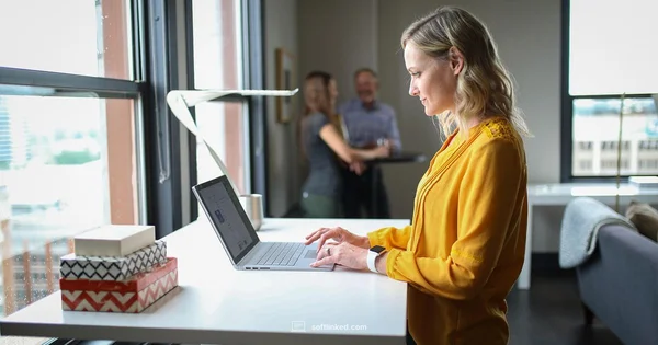 Python Software Guide - SoftLinked