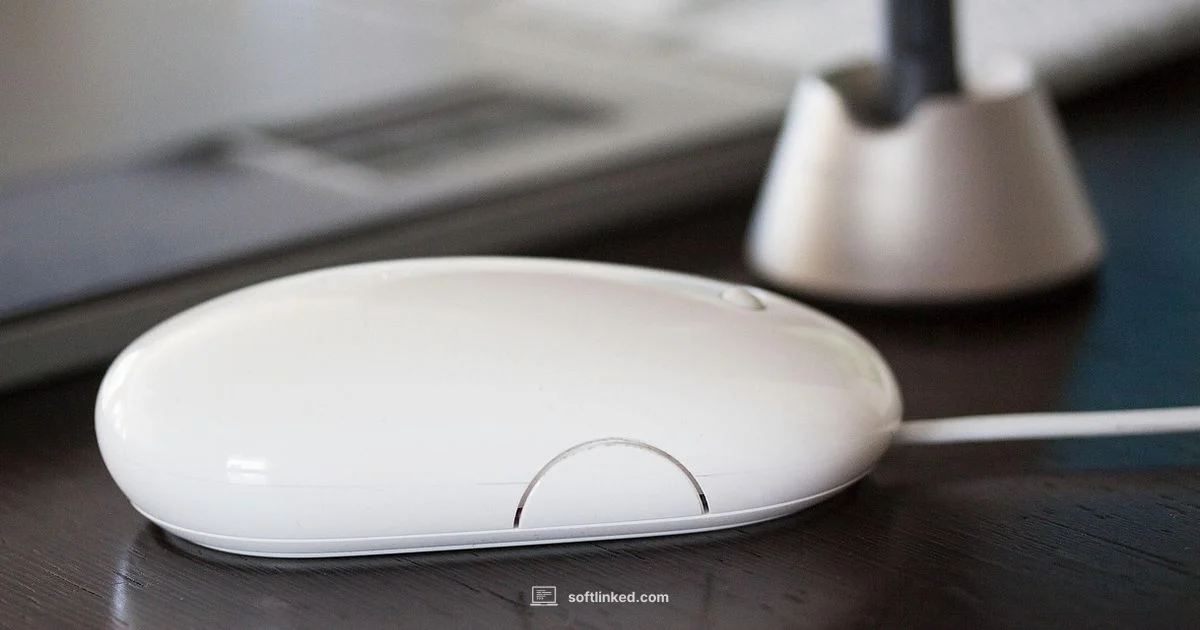 Free Graphic Tools - SoftLinked