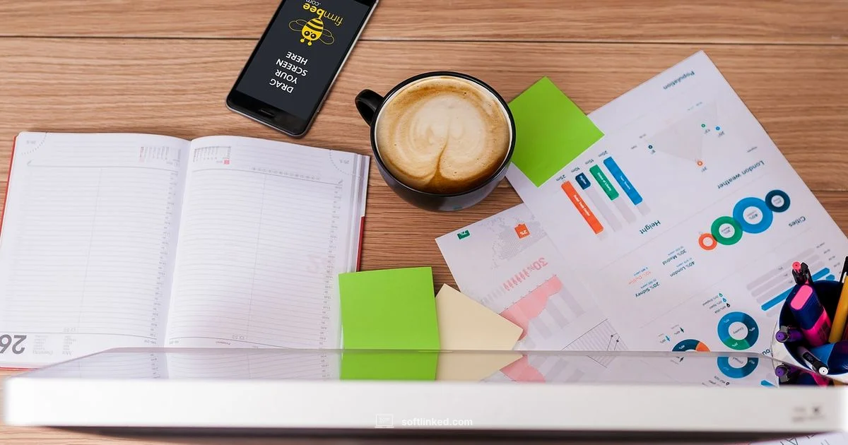 Why Software Engineers - SoftLinked