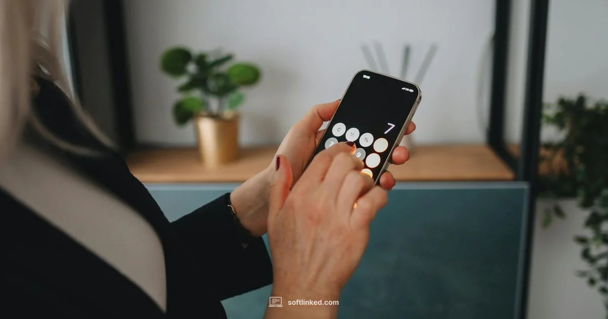 iPhone Update Fix - SoftLinked