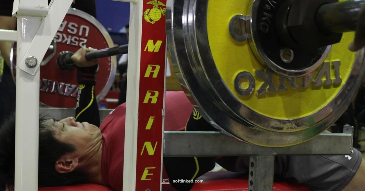 Powerlifting Programming - SoftLinked