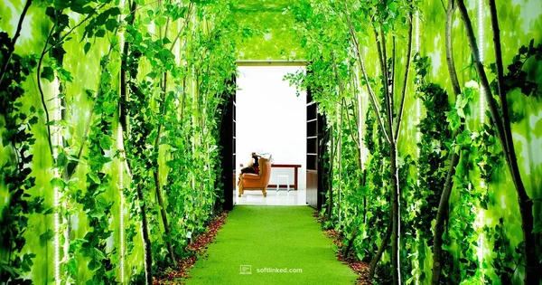 Animation Studio Setup - SoftLinked