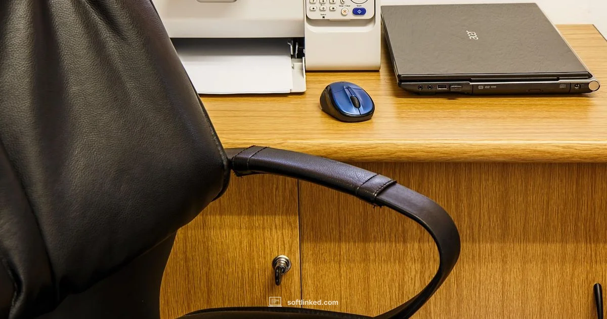 Developing as a Developer - SoftLinked