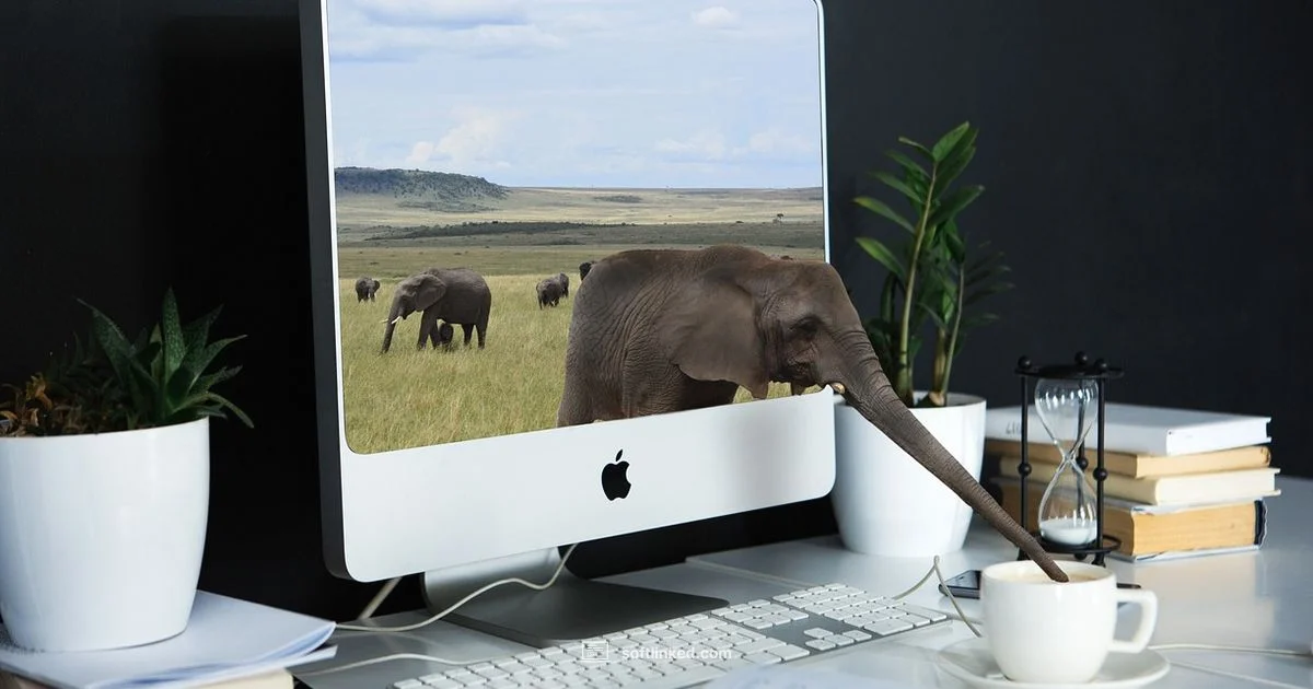 Software Testing Career Guide - SoftLinked