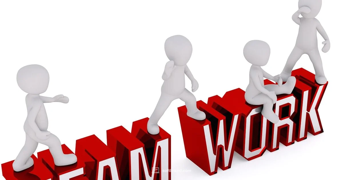 Software Plural Usage - SoftLinked