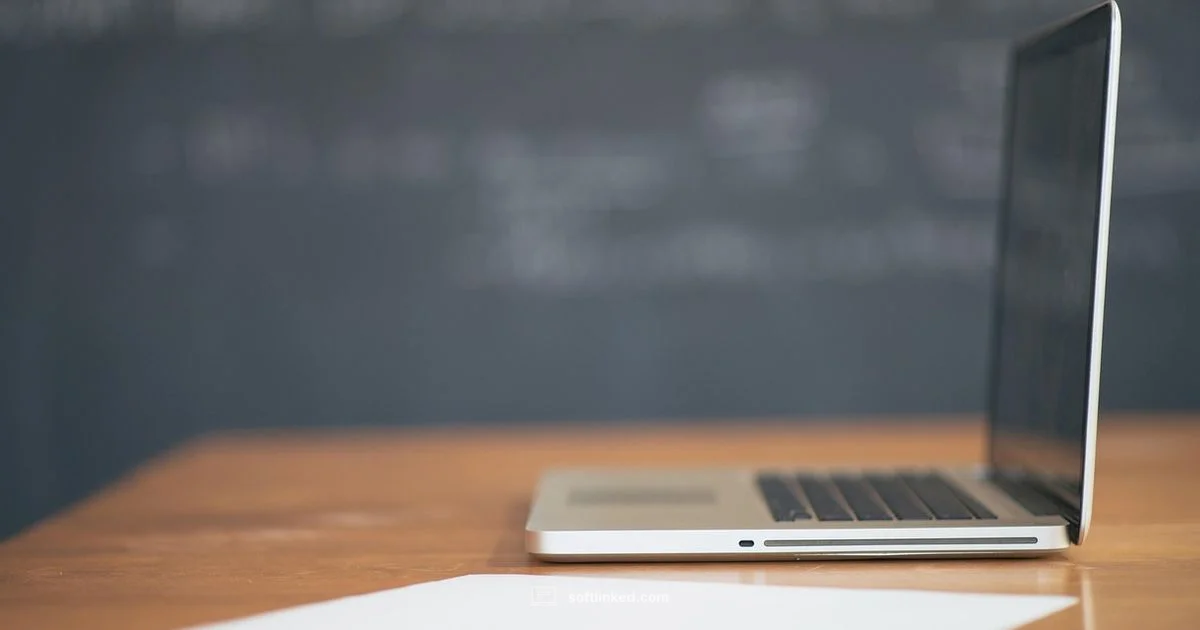 Canva Photo Editing Canva Photo Editing - SoftLinked