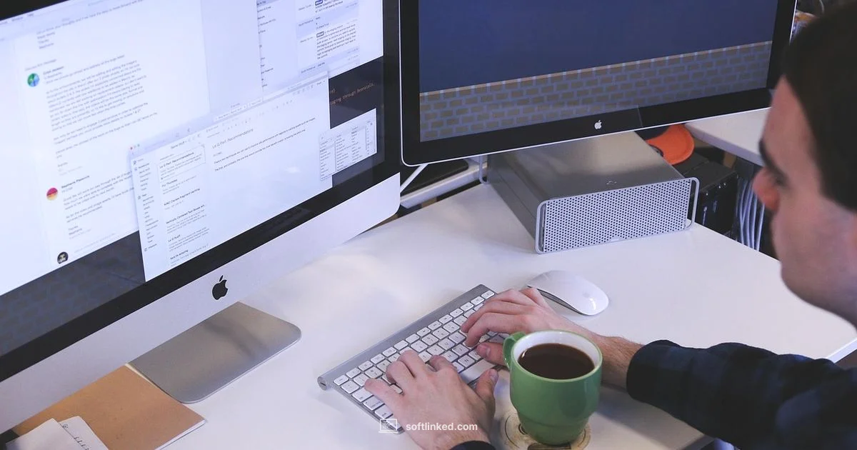 Salary Insights - SoftLinked