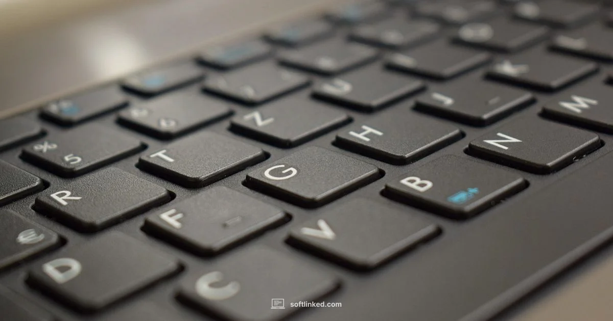 Keystroke Software Guide - SoftLinked