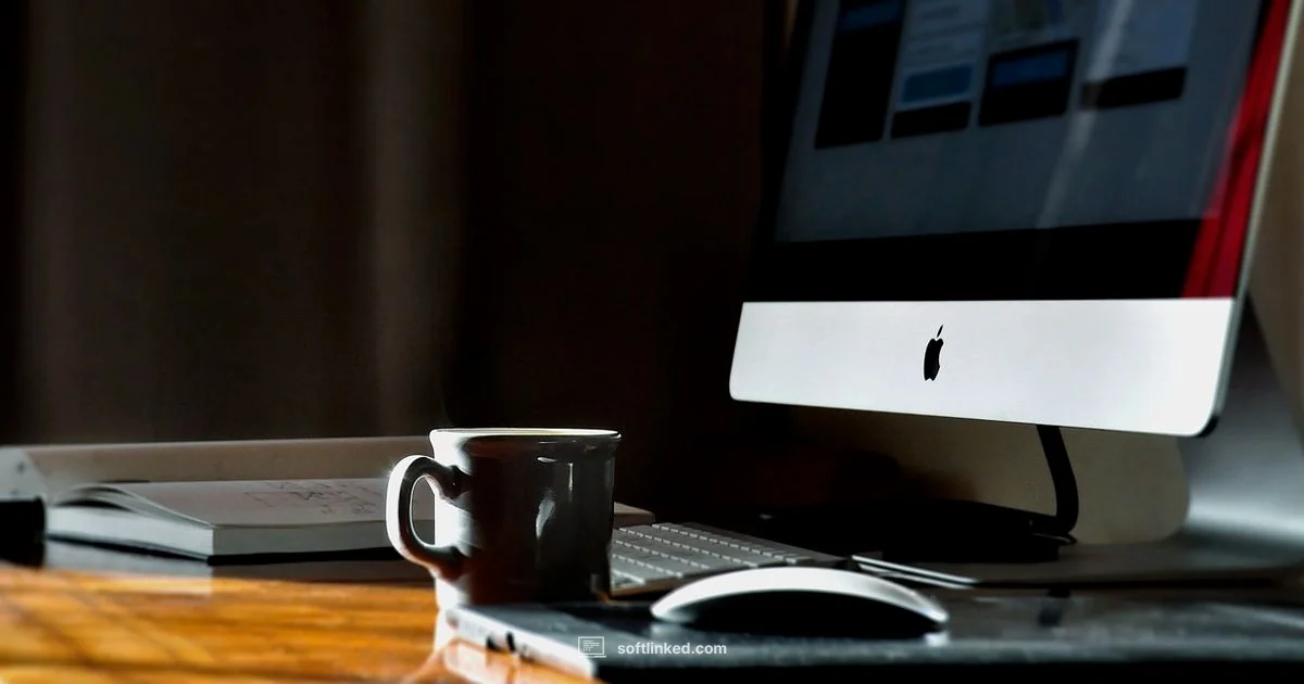 Path to Engineer - SoftLinked