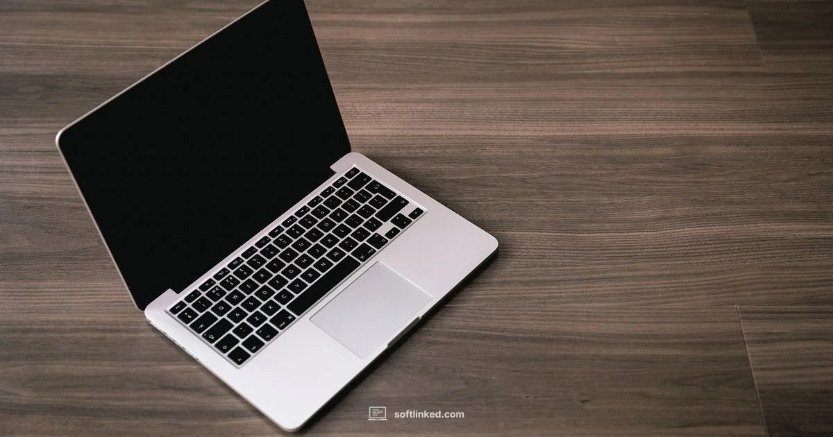 Software Clean Guide Software Clean Guide - SoftLinked