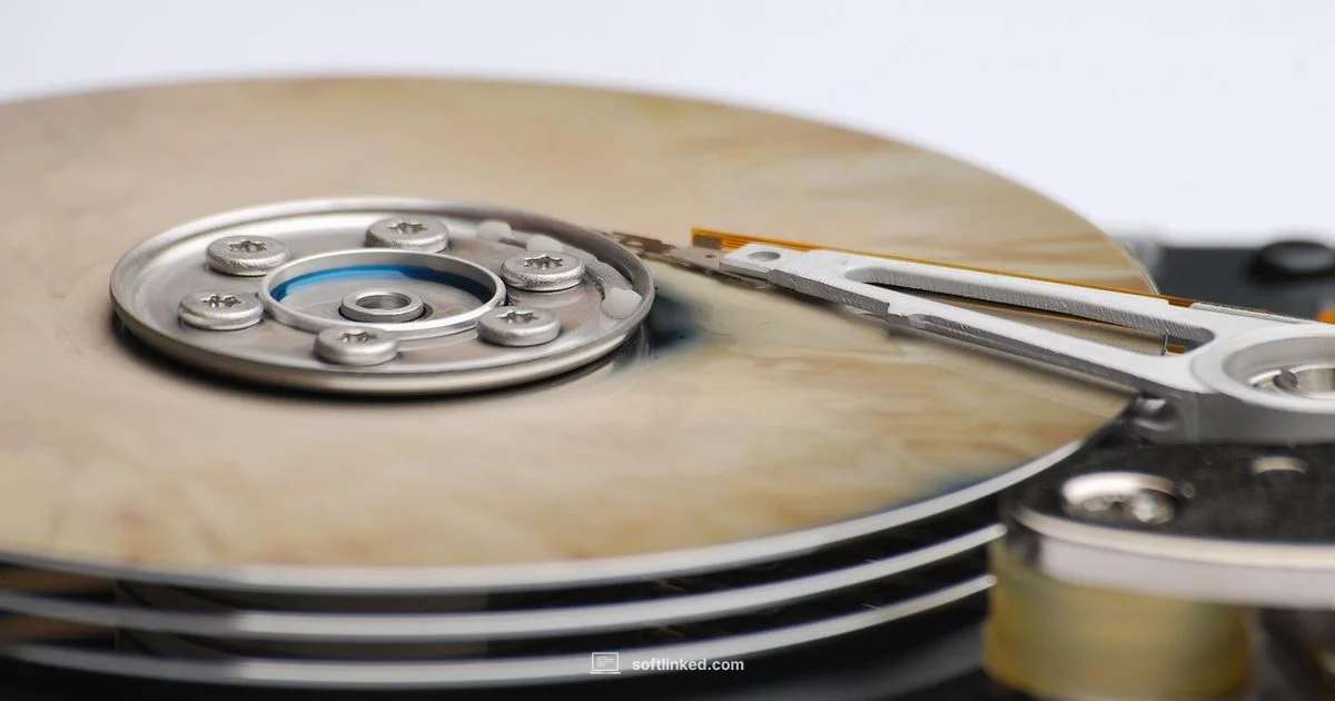 Data Recovery Guide - SoftLinked