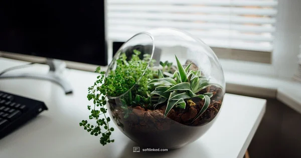 Worth It: Software Development - SoftLinked