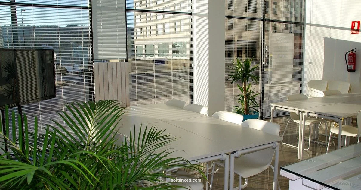 SDS Essentials - SoftLinked