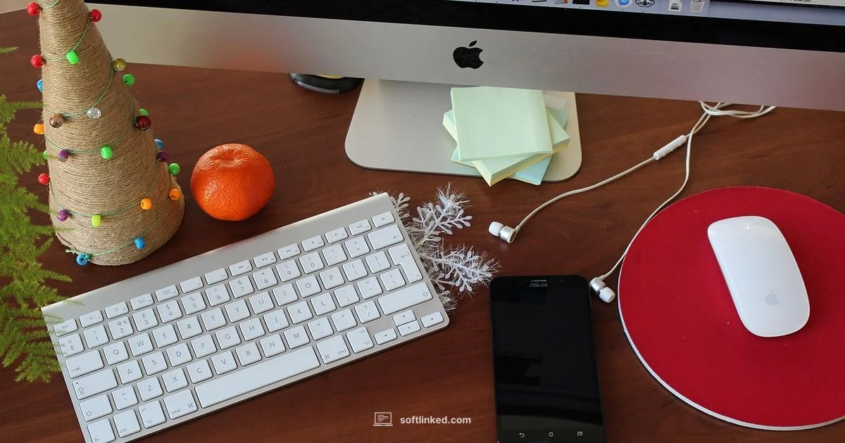 Disk Usage Explorer - SoftLinked