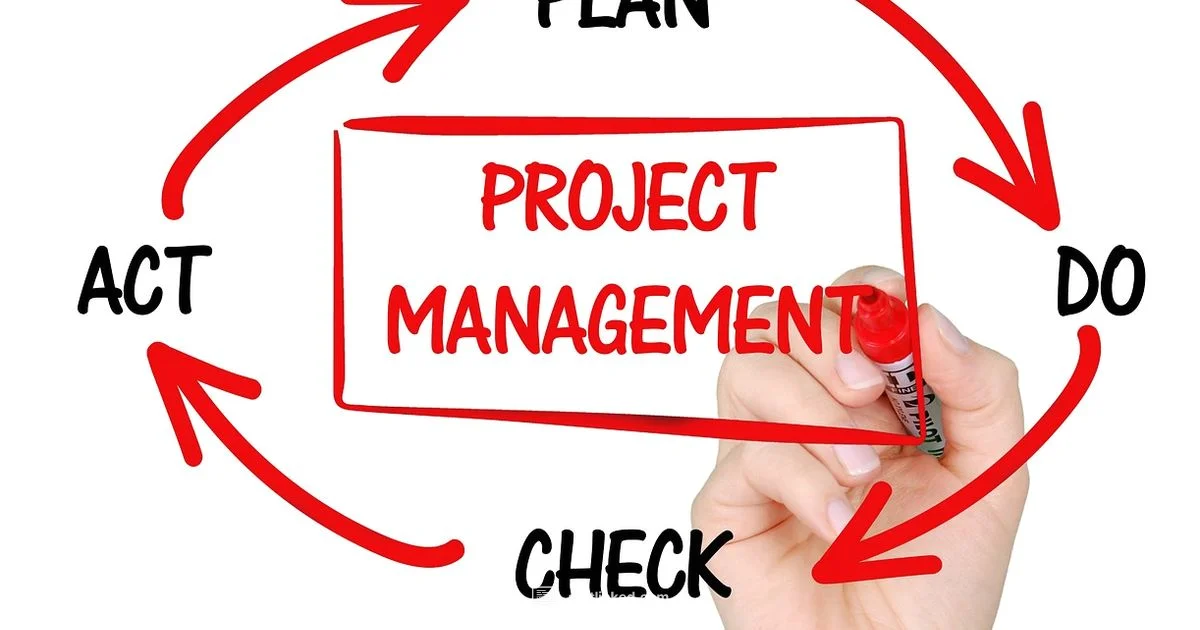 Program vs Project - SoftLinked