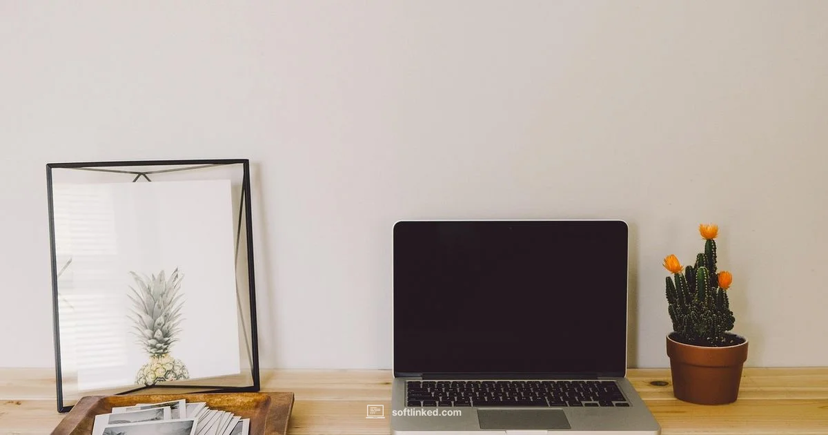 Software Update Connectivity - SoftLinked