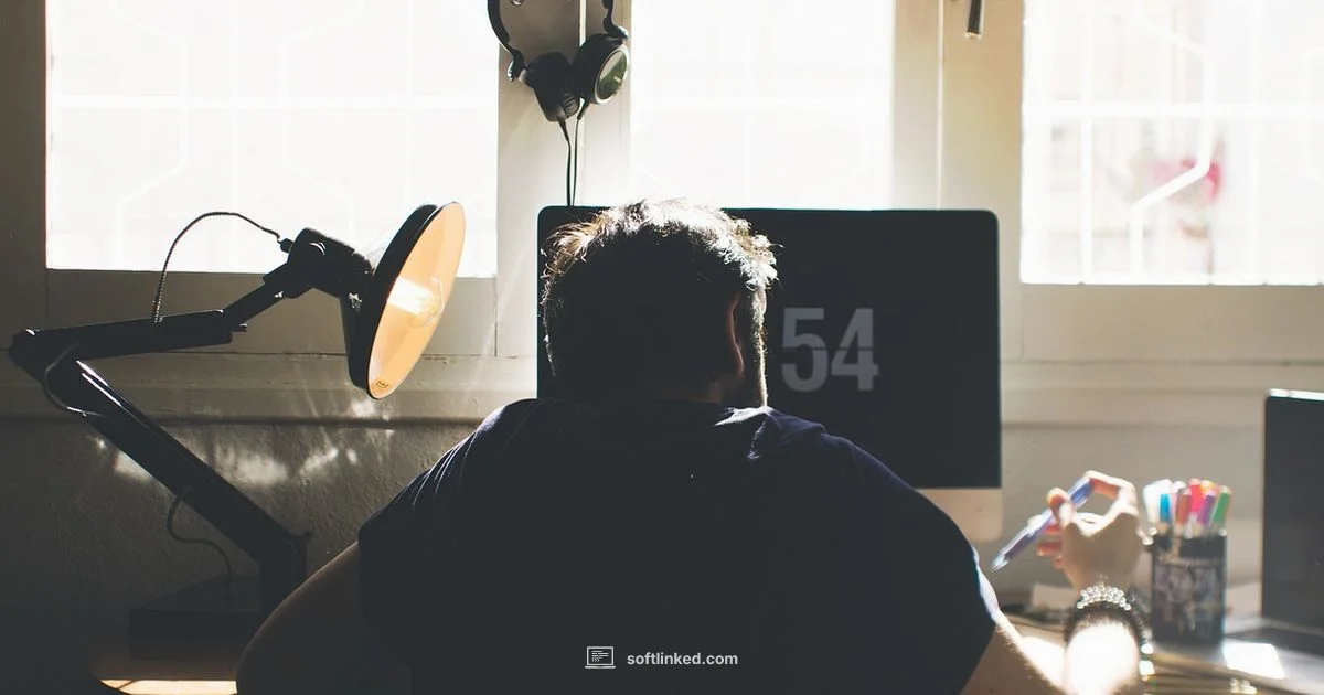 Origins of SE - SoftLinked