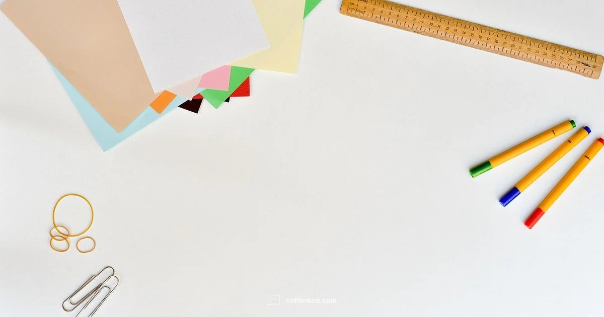 Email Management Essentials - SoftLinked