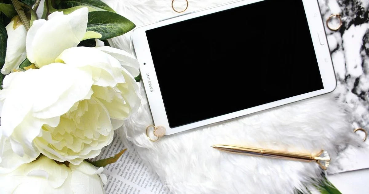 iPadOS Version Check - SoftLinked