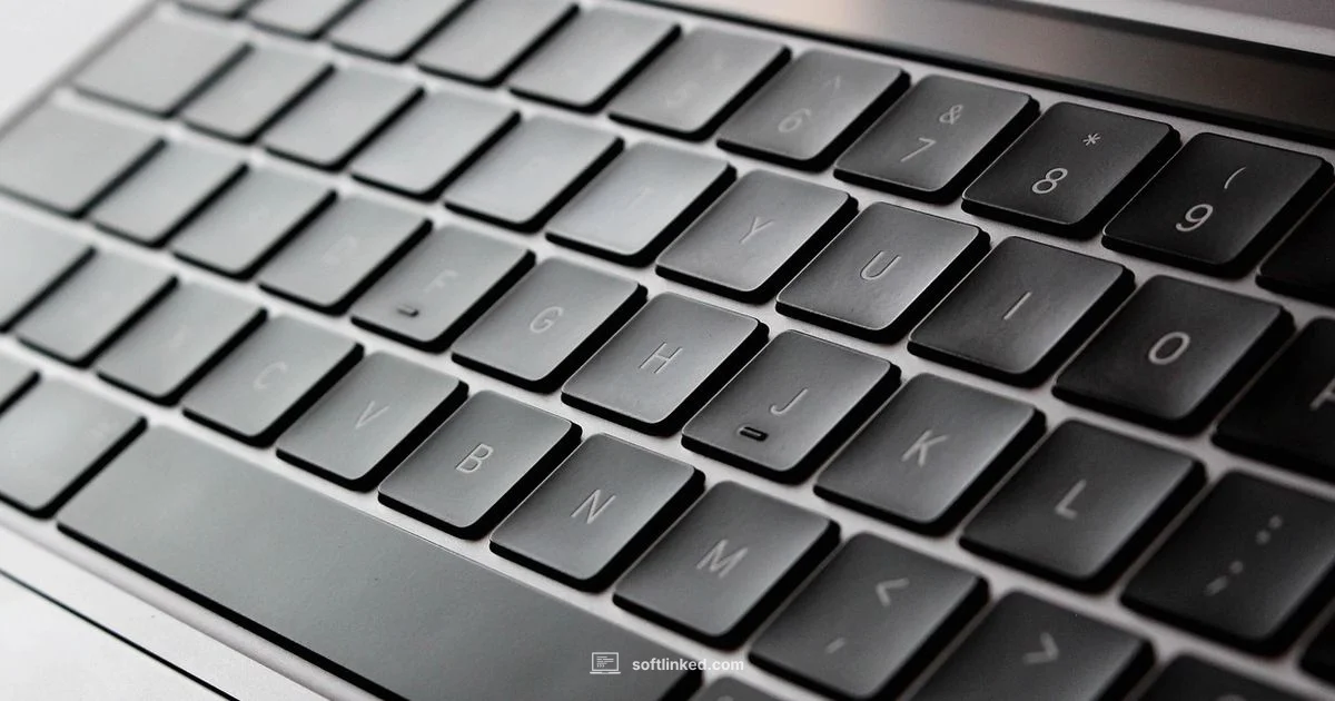 Download Excel Safely - SoftLinked