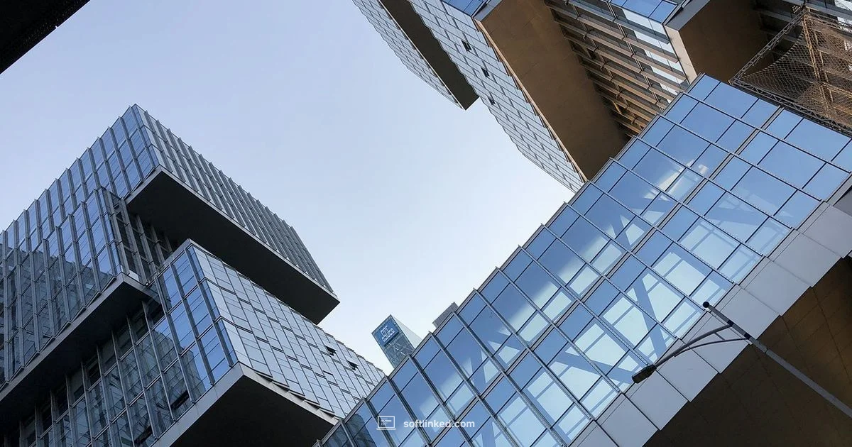 Workday Overview Workday Overview - SoftLinked