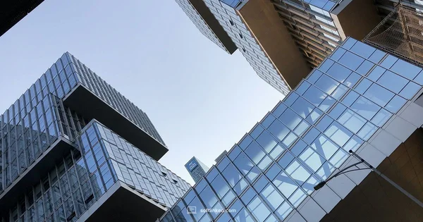 Workday Overview - SoftLinked