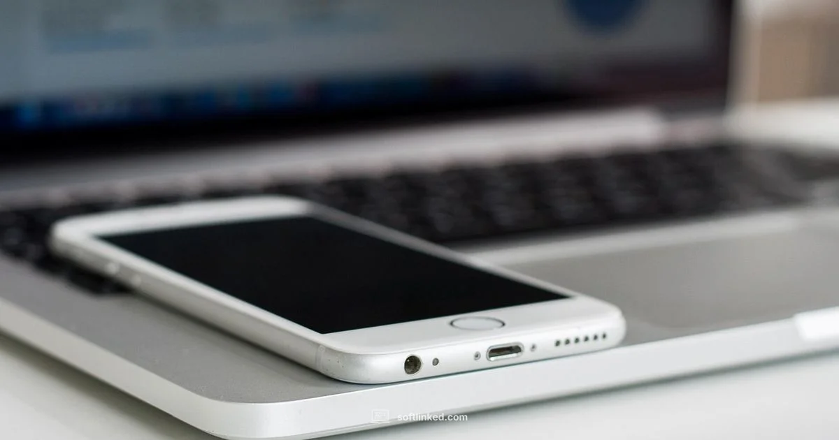 iPhone Storage Cleanup - SoftLinked