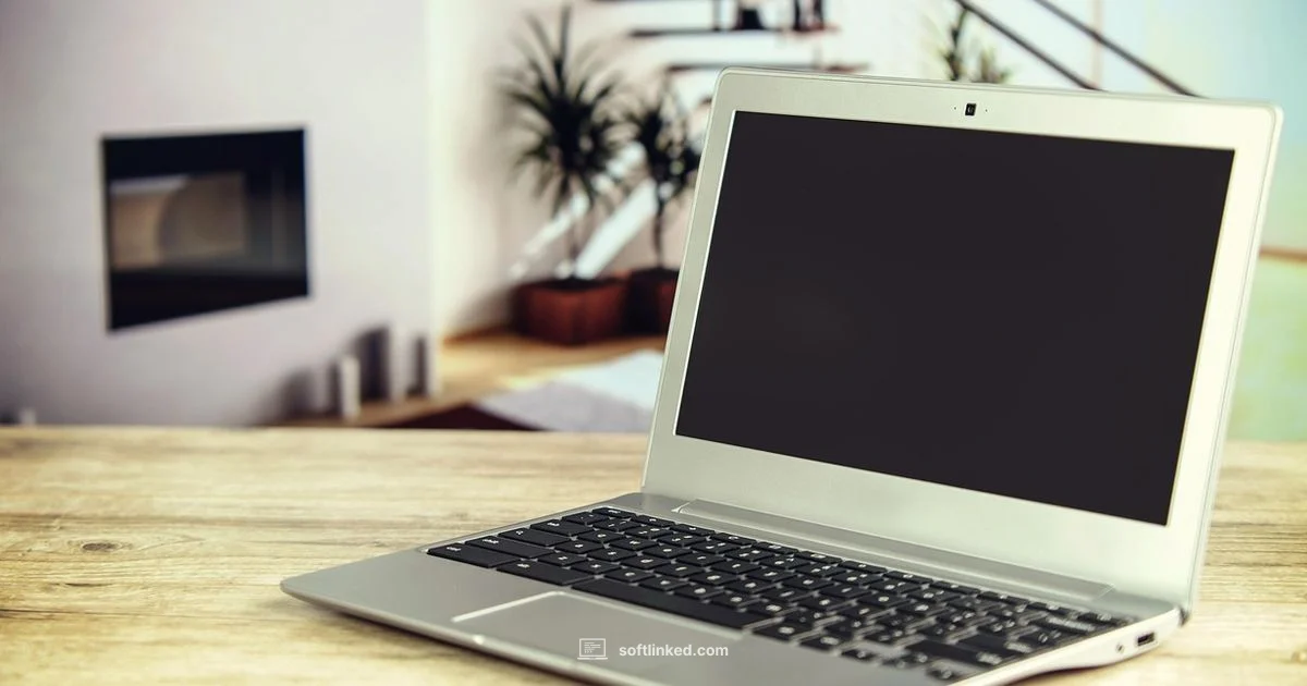Software Development Timeline - SoftLinked