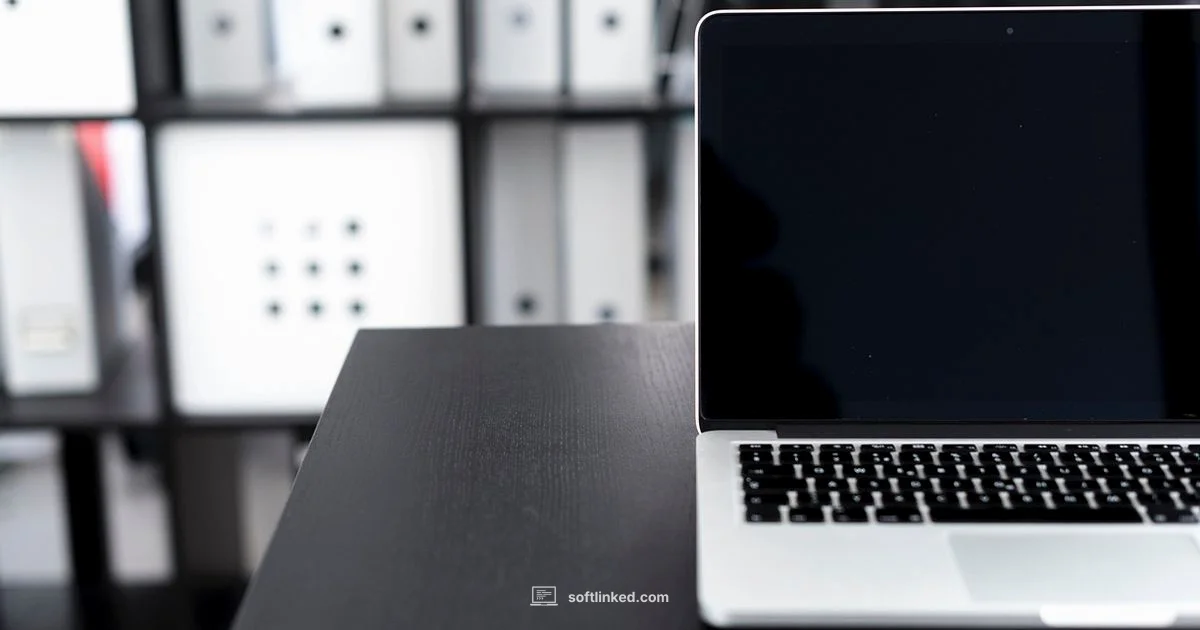 Deleted File Recovery - SoftLinked