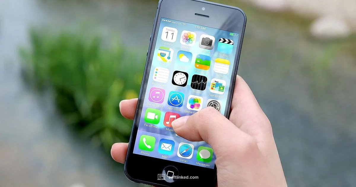 Fix iPhone Bugs - SoftLinked