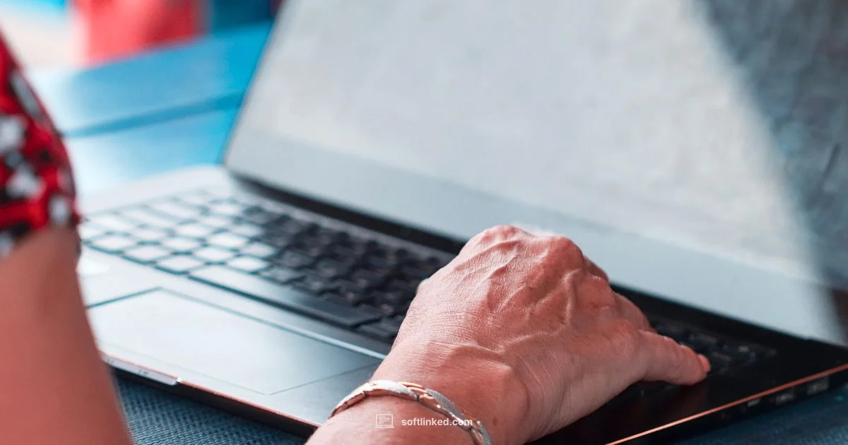 Remote Developer Jobs - SoftLinked