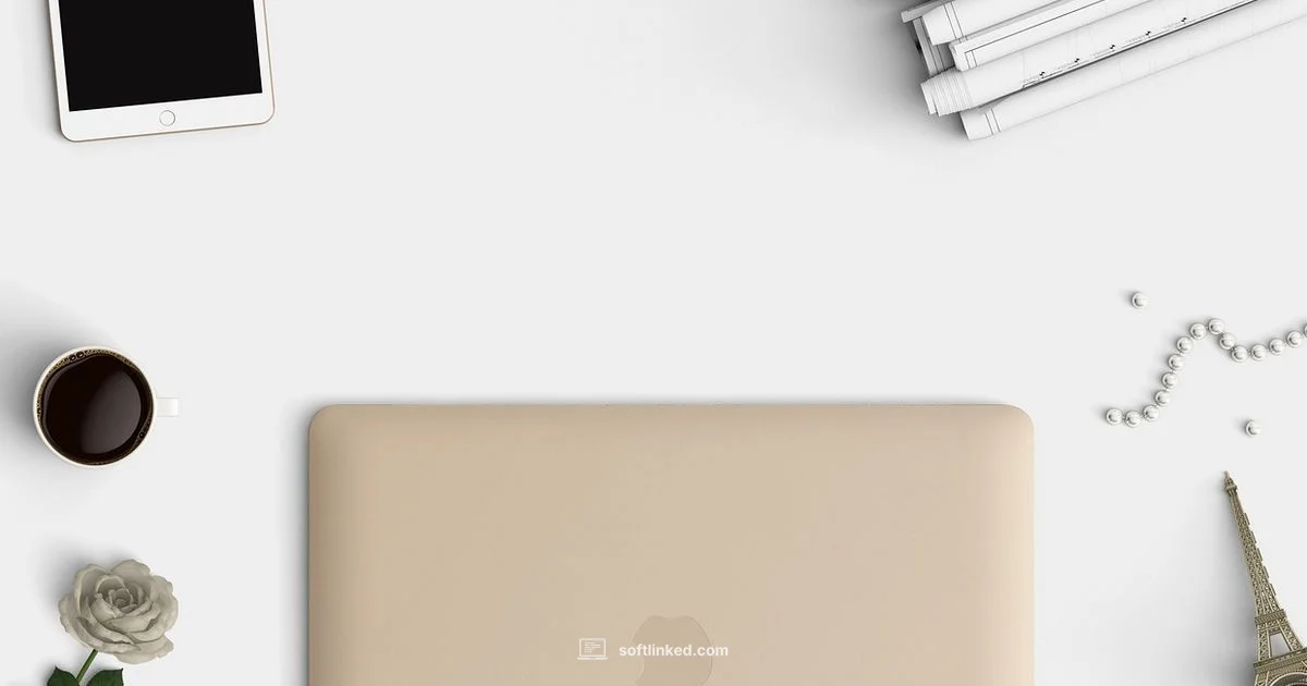 Forum Software Identity - SoftLinked
