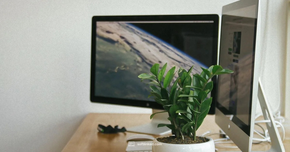 Keylogger Essentials - SoftLinked